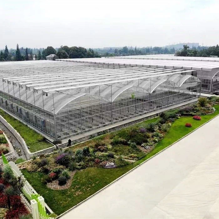 Çok açıklıklı sera