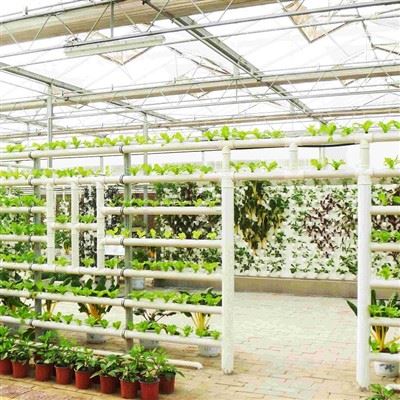 Glass Hydroponics Greenhouse