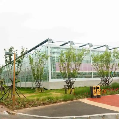 Flower Greenhouse1